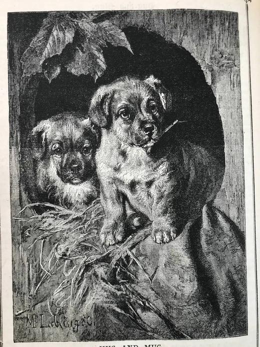 1883-1884年 家庭箴言杂志 约百幅插图 真皮精装大32开 商品图12