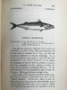 1859年 英国鱼类史（卷2） 近300幅木版画插图 漆布精装18开 商品缩略图10