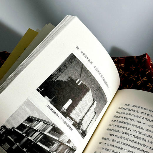 里山资本主义 不做金钱的奴隶 做个安心的里山主人 商品图4