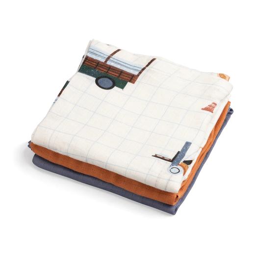 Sebra棉纱布巾3入组 宝宝婴儿包巾薄被包被抱被0+ 商品图0