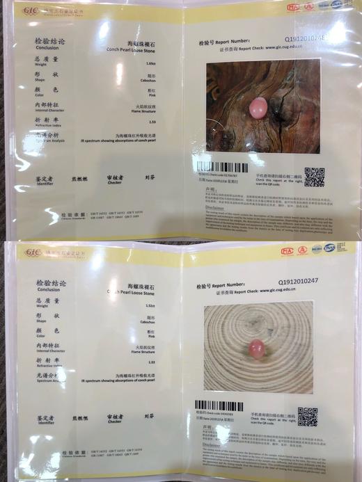 1.52ct +1.69ct 海螺珠耳环 商品图6