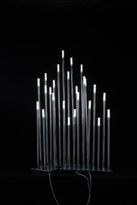 特价款21头奥斯卡路引（运费自理）