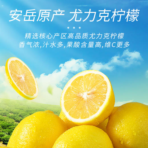 【臻尖-原味柠檬茶】冷泡喝水果花茶单独包装原味柠檬干片 商品图2