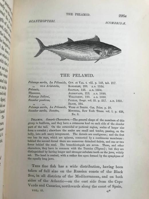 1859年 英国鱼类史（卷2） 近300幅木版画插图 漆布精装18开 商品图6