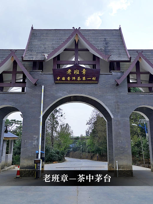 【掌柜私藏老班章】2015年头春勐海普洱茶生茶超大古树‘茶中劳斯莱斯’山头茶的顶峰 357克/饼茶 单饼铁盒装 5饼/提高端礼盒装 拍5发6拍20发25 商品图9