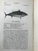 1859年 英国鱼类史（卷2） 近300幅木版画插图 漆布精装18开 商品缩略图8