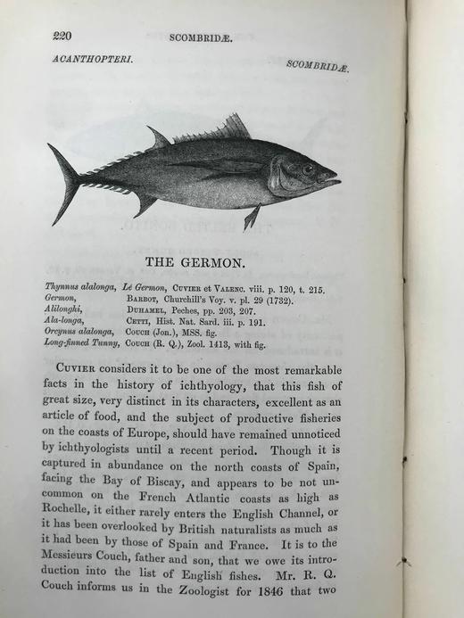 1859年 英国鱼类史（卷2） 近300幅木版画插图 漆布精装18开 商品图8