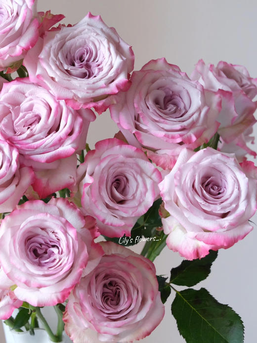 【AB级气场玫瑰.第二件减10元】10支/份  长60cm 商品图2