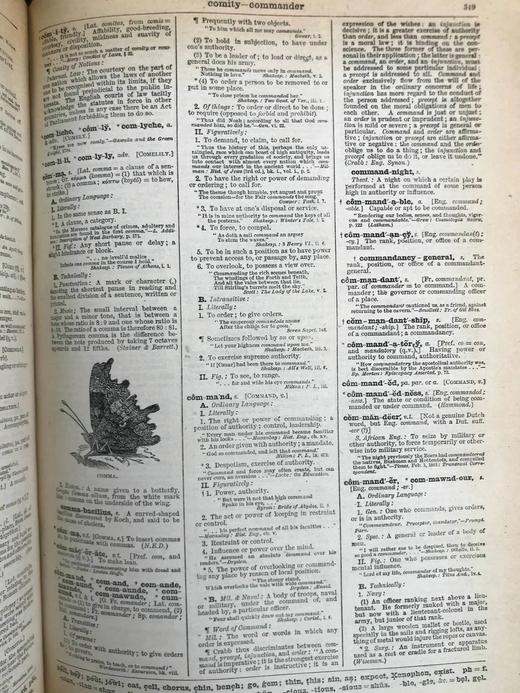 含中国内容！1895年 劳埃德百科辞典（卷2） 数百幅版画插图 真皮精装16开 商品图7