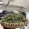 荆芥  荆芥穗 商品缩略图5