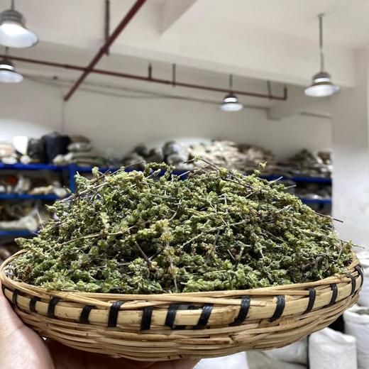 荆芥  荆芥穗 商品图5