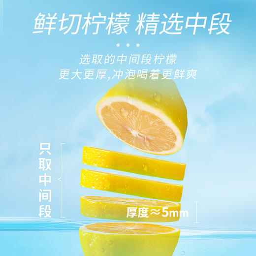 【臻尖-原味柠檬茶】冷泡喝水果花茶单独包装原味柠檬干片 商品图3