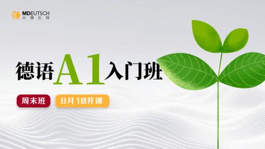 【8月10日开课】2024 德语A1暑期直播班 商品图0