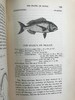 1859年 英国鱼类史（卷2） 近300幅木版画插图 漆布精装18开 商品缩略图13