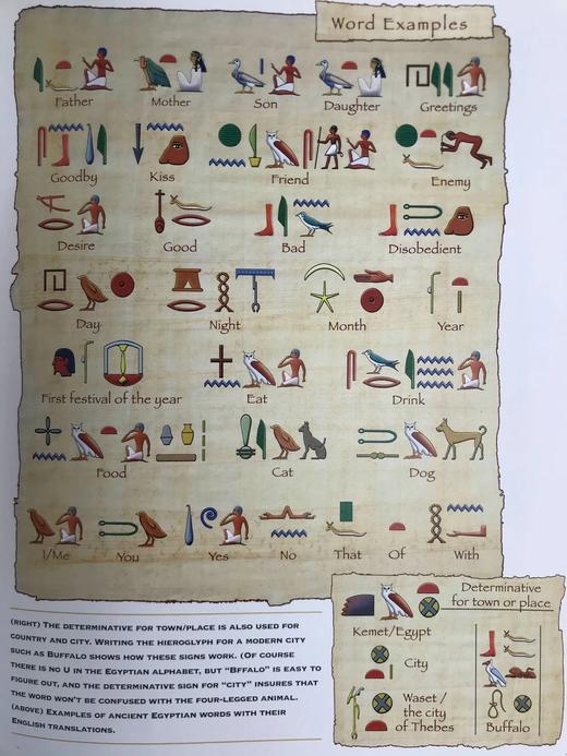 想象埃及：法老时代的鲜活写照 数百幅彩色插图 精装16开 商品图12