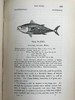 1859年 英国鱼类史（卷2） 近300幅木版画插图 漆布精装18开 商品缩略图9