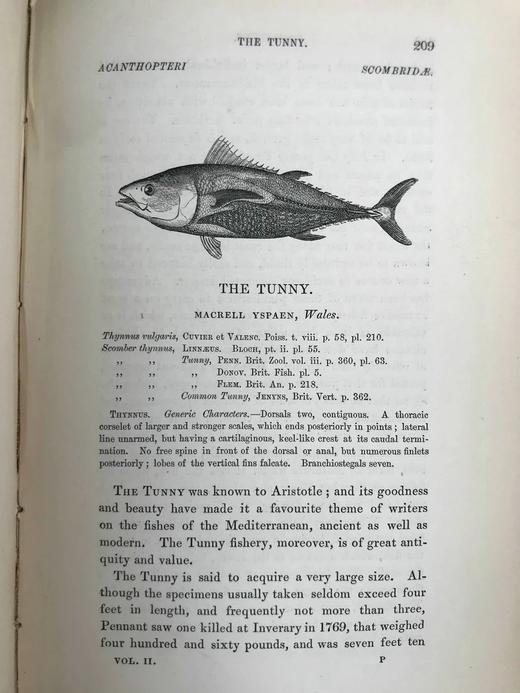 1859年 英国鱼类史（卷2） 近300幅木版画插图 漆布精装18开 商品图9