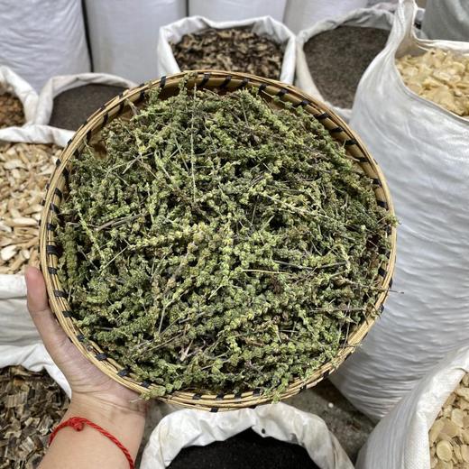 荆芥  荆芥穗 商品图4