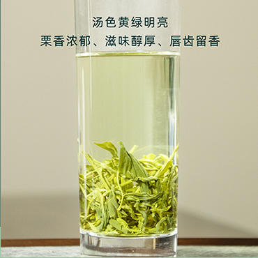 册亨优选 云雾毛峰 250g/袋 商品图2