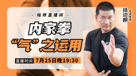 【7月25日】 内家拳“气”之运用