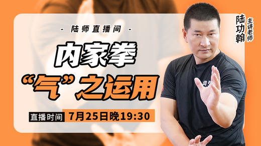 【7月25日】 内家拳“气”之运用 商品图0