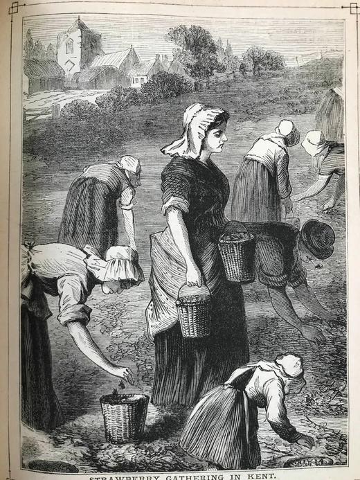 1883-1884年 家庭箴言杂志 约百幅插图 真皮精装大32开 商品图13