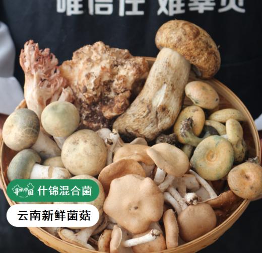 【云南新鲜野生菌 什锦套装】 营养丰富  鲜掉眉毛 千万别错过  600克/份 商品图0