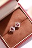 0.63ct 红宝石耳钉 商品缩略图5