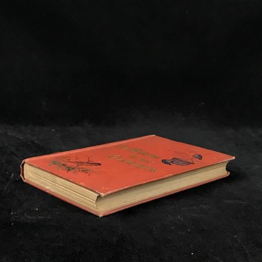 约19世纪后期 我的花园里的鸟类 数十幅精美插图 漆布精装32开 商品图1