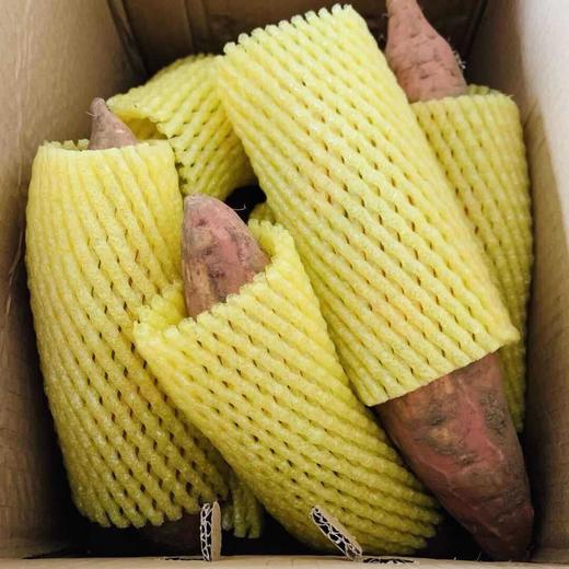 糖心烟薯 香甜流油 | 山东海阳烟薯25号 现挖蜜薯 粗粮地瓜 小果简装 中大果5斤彩箱装【新薯水分大，注意及时拆箱，保持通风。推荐做法：烤地瓜】 商品图8