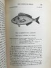 1859年 英国鱼类史（卷2） 近300幅木版画插图 漆布精装18开 商品缩略图14