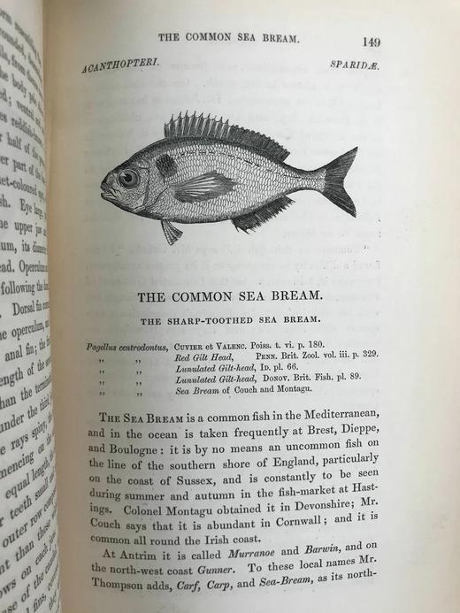 1859年 英国鱼类史（卷2） 近300幅木版画插图 漆布精装18开 商品图14