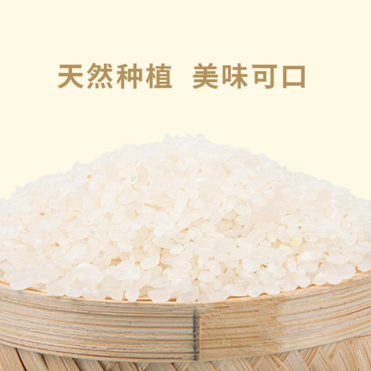 今粮道百礼挑一 只为有米（礼盒款） 商品图1