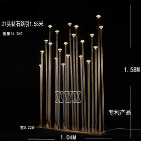 21头钻石路引（运费自理）