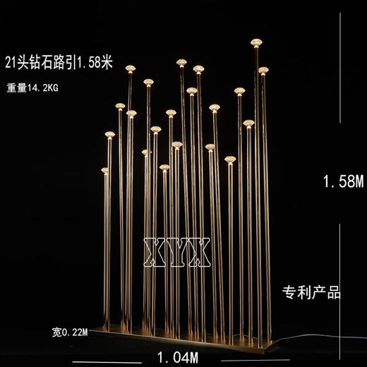 21头钻石路引（运费自理） 商品图0