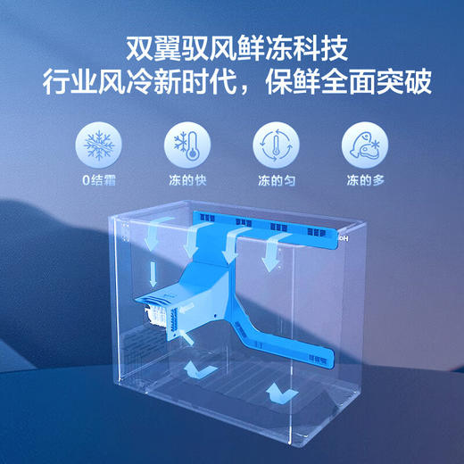 海尔（Haier）159升 风冷无霜 -38°细胞级冷冻 一级能效 省电保鲜 黑金净化BC/BD-159WGHED 商品图4