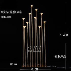 10头钻石路引（运费自理）