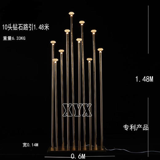 10头钻石路引（运费自理） 商品图0