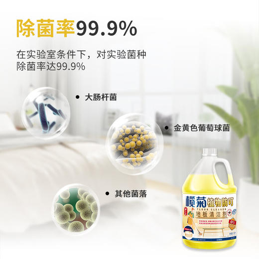榄菊地板清洁剂3.78L除菌地板水瓷砖拖地清洁剂 扫地机可用 商品图2