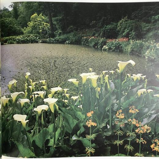 园林风格 数百幅彩色插图 精装16开 商品图8