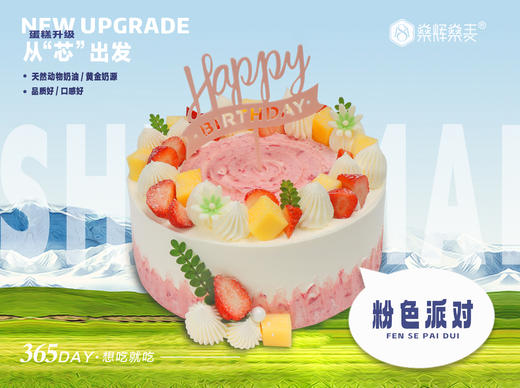 粉色派对蛋糕【6~12英寸】 商品图0