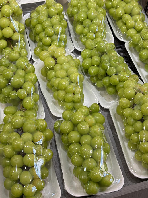 一级阳光玫瑰一串约1.2斤 商品图0