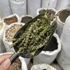 荆芥  荆芥穗 商品缩略图8