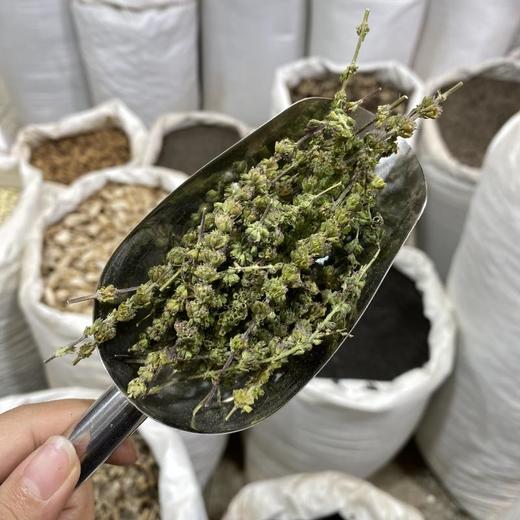 荆芥  荆芥穗 商品图8