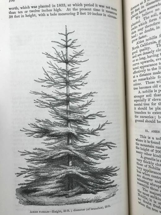 1854年 花店、水果商与园林杂志 10余幅套色版画与多幅黑白版画插图 全真皮精装大32开 商品图13