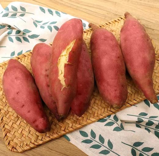 MM康沙板栗薯 1KG 商品图1