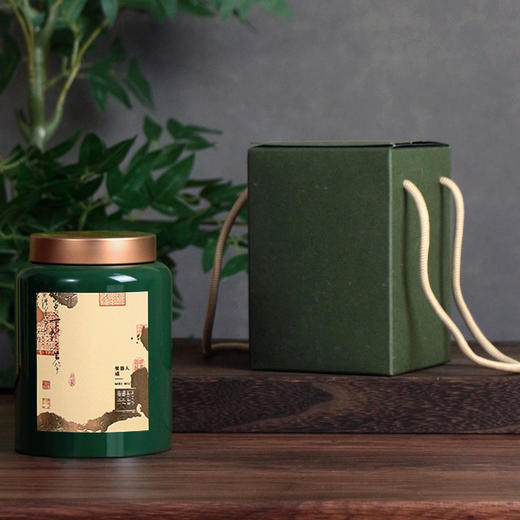 YP-602高罐 单罐一提 配卡盒【绿色·烤漆罐】39一套/一件12套 商品图1