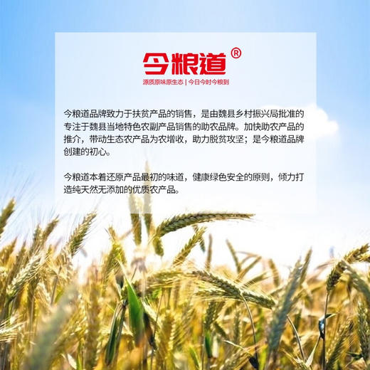 今粮道石磨黑麦全麦粉 商品图2