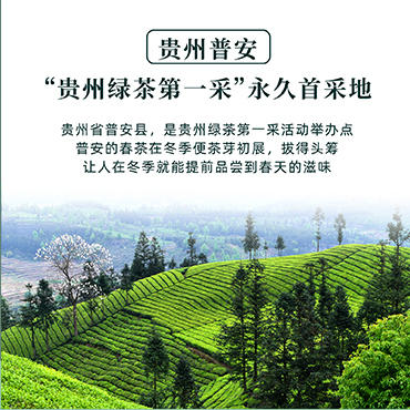 册亨优选 云雾毛峰 250g/袋 商品图4