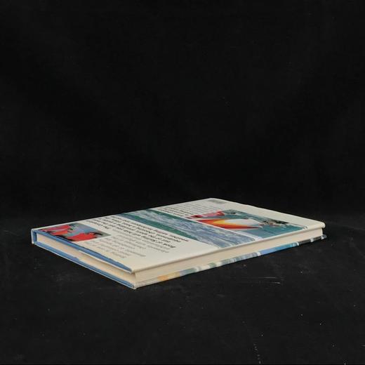 帆船运动全书 200余幅彩色插图 精装大16开 商品图2